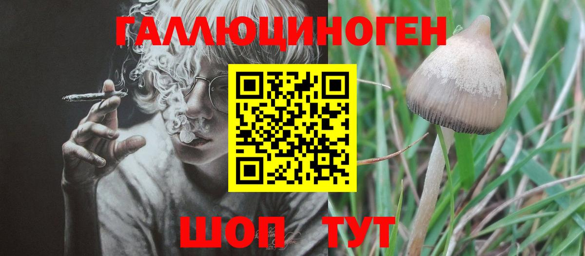 Галлюциногенные грибы мухоморы  Псилоцибиновые грибы Magic Shrooms  Вход с VPN  Салехард 