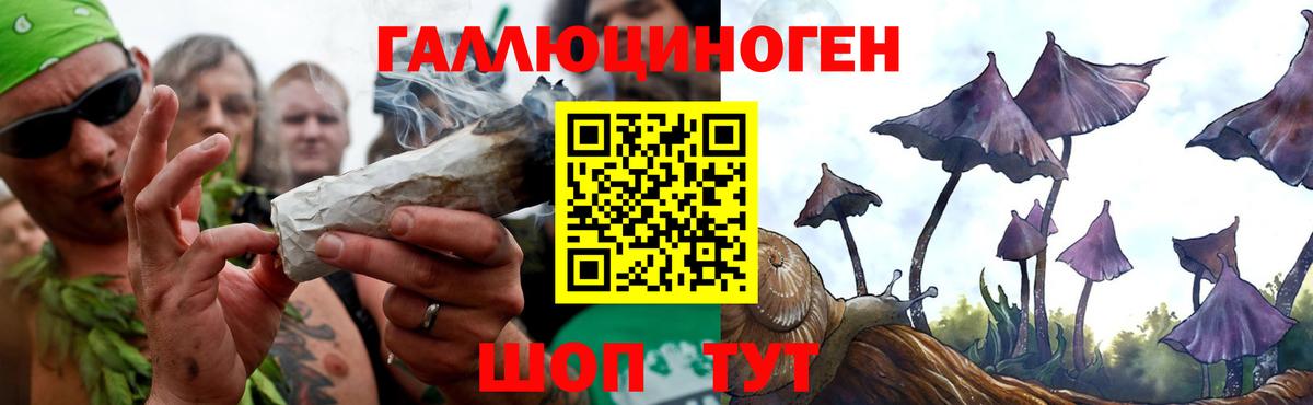 Псилоцибиновые грибы MAGIC MUSHROOMS Салехард